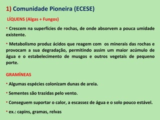 1) Comunidade Pioneira (ECESE)
LÍQUENS (Algas + Fungos)
• Crescem na superfícies de rochas, de onde absorvem a pouca umidade
existente.
• Metabolismo produz ácidos que reagem com os minerais das rochas e
provocam a sua degradação, permitindo assim um maior acúmulo de
água e o estabelecimento de musgos e outros vegetais de pequeno
porte.

GRAMÍNEAS
• Algumas espécies colonizam dunas de areia.
• Sementes são trazidas pelo vento.
• Conseguem suportar o calor, a escassez de água e o solo pouco estável.
• ex.: capins, gramas, relvas
 