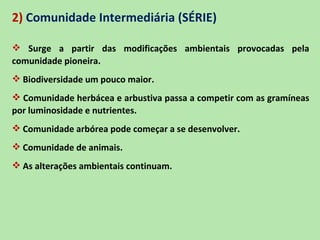 2) Comunidade Intermediária (SÉRIE)

 Surge a partir das modificações ambientais provocadas pela
comunidade pioneira.
 Biodiversidade um pouco maior.
 Comunidade herbácea e arbustiva passa a competir com as gramíneas
por luminosidade e nutrientes.
 Comunidade arbórea pode começar a se desenvolver.
 Comunidade de animais.
 As alterações ambientais continuam.
 