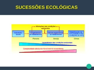SUCESSÕES ECOLÓGICASSUCESSÕES ECOLÓGICAS
 