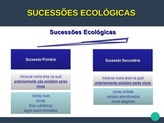 SUCESSÕES ECOLÓGICASSUCESSÕES ECOLÓGICAS
rochas nuas
dunas
ilhas vulcânicas
lagos recém-formados
rochas nuas
dunas
ilhas vulcânicas
lagos recém-formados
Inicia-se numa área na qual
anteriormente existiam seres vivos
Inicia-se numa área na qual
anteriormente existiam seres vivos
Sucessão SecundáriaSucessão SecundáriaSucessão SecundáriaSucessão SecundáriaSucessão PrimáriaSucessão PrimáriaSucessão PrimáriaSucessão Primária
Inicia-se numa área na qual
anteriormente não existiam seres
vivos
Inicia-se numa área na qual
anteriormente não existiam seres
vivos
zonas ardidas
campos abandonados
zonas alagadas
zonas ardidas
campos abandonados
zonas alagadas
Sucessões EcológicasSucessões Ecológicas
 
