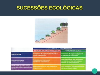 SUCESSÕES ECOLÓGICASSUCESSÕES ECOLÓGICAS
 