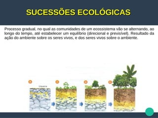 SUCESSÕES ECOLÓGICASSUCESSÕES ECOLÓGICAS
Processo gradual, no qual as comunidades de um ecossistema vão se alternando, ao
longo do tempo, até estabelecer um equilíbrio (direcional e previsível). Resultado da
ação do ambiente sobre os seres vivos, e dos seres vivos sobre o ambiente.
 