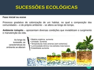 SUCESSÕES ECOLÓGICASSUCESSÕES ECOLÓGICAS
Fase inicial ou ecese
Processo gradativo de colonização de um habitat, no qual a composição das
comunidades – e do próprio ambiente – se altera ao longo do tempo.
Ambiente inóspito – apresentam diversas condições que inviabilizam o surgimento
e manutenção da vida.
• Matéria orgânica aumenta
• Umidade aumenta
• Temperaturas mais amenas (sem extremos)
• Luminosidade diminui nos estratos mais baixos
• Estabilidade aumenta
Ao longo da
sucessão, as
características do
ambiente se alteram
 
