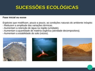 SUCESSÕES ECOLÓGICASSUCESSÕES ECOLÓGICAS
Fase inicial ou ecese
Espécies que modificam, pouco a pouco, as condições naturais do ambiente inóspito:
- Reduzem a amplitude das variações térmicas.
- Aumentam a retenção de água na região (umidade).
- Aumentam a quantidade de matéria orgânica (atividade decompositora).
- Aumentam a estabilidade do solo (raízes).
 