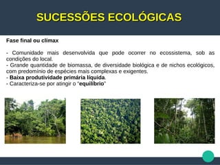SUCESSÕES ECOLÓGICASSUCESSÕES ECOLÓGICAS
Fase final ou clímax
- Comunidade mais desenvolvida que pode ocorrer no ecossistema, sob as
condições do local.
- Grande quantidade de biomassa, de diversidade biológica e de nichos ecológicos,
com predomínio de espécies mais complexas e exigentes.
- Baixa produtividade primária líquida.
- Caracteriza-se por atingir o “equilíbrio”
 