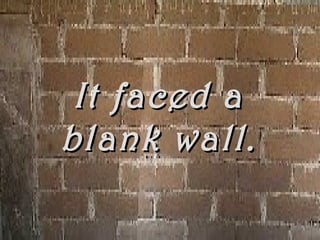 It faced a
blank wall.
 