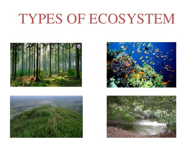 TYPES OF ECOSYSTEM