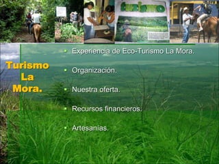 Turismo
La
Mora.
 Experiencia de Eco-Turismo La Mora.
 Organización.
 Nuestra oferta.
 Recursos financieros.
 Artesanías.
 