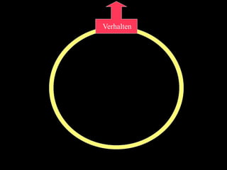 Sucht und Hirnforschung (Suchtsystem neurologisch erklärt)