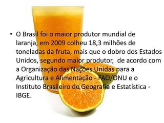 • O Brasil foi o maior produtor mundial de
laranja, em 2009 colheu 18,3 milhões de
toneladas da fruta, mais que o dobro dos Estados
Unidos, segundo maior produtor, de acordo com
a Organização das Nações Unidas para a
Agricultura e Alimentação - FAO/ONU e o
Instituto Brasileiro de Geografia e Estatística -
IBGE.
 