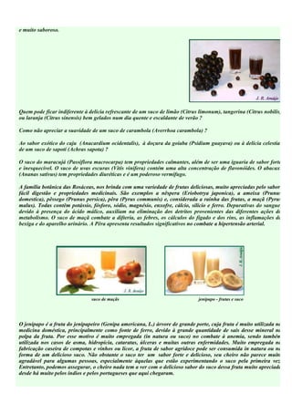 e muito saboroso.




Quem pode ficar indiferente à delícia refrescante de um suco de limão (Citrus limonum), tangerina (Citrus nobilis)
ou laranja (Citrus sinensis) bem gelados num dia quente e escaldante de verão ?

Como não apreciar a suavidade de um suco de carambola (Averrhoa carambola) ?

Ao sabor exótico do caju (Anacardium ocidentalis), à doçura da goiaba (Psidium guayava) ou à delícia celestial
de um suco de sapoti (Achras sapota) ?

O suco do maracujá (Passiflora macrocarpa) tem propriedades calmantes, além de ser uma iguaria de sabor forte
e inesquecível. O suco de uvas escuras (Vitis vinifera) contém uma alta concentração de flavonóides. O abacaxi
(Ananas sativus) tem propriedades diuréticas e é um poderoso vermífugo.

A família botânica das Rosáceas, nos brinda com uma variedade de frutas deliciosas, muito apreciadas pelo sabor,
fácil digestão e propriedades medicinais. São exemplos a nêspera (Eriobotrya japonica), a ameixa (Prunus
domestica), pêssego (Prunus persica), pêra (Pyrus communis) e, considerada a rainha das frutas, a maçã (Pyrus
malus). Todas contêm potássio, fósforo, sódio, magnésio, enxofre, cálcio, silício e ferro. Depurativas do sangue,
devido à presença do ácido málico, auxiliam na eliminação dos detritos provenientes das diferentes ações do
metabolismo. O suco de maçã combate a difteria, as febres, os cálculos do fígado e dos rins, as inflamações da
bexiga e do aparelho urinário. A Pêra apresenta resultados significativos no combate a hipertensão arterial.




                               suco de maçãs                                  jenipapo - frutas e suco




O jenipapo é a fruta do jenipapeiro (Genipa americana, L.) árvore de grande porte, cuja fruta é muito utilizada na
medicina doméstica, principalmente como fonte de ferro, devido à grande quantidade de sais desse mineral na
polpa da fruta. Por esse motivo é muito empregada (in natura ou suco) no combate à anemia, sendo também
utilizada nos casos de asma, hidropícia, cataratas, úlceras e muitas outras enfermidades. Muito empregada na
fabricação caseira de compotas e vinhos ou licor, a fruta de sabor agridoce pode ser consumida in natura ou na
forma de um delicioso suco. Não obstante o suco ter um sabor forte e delicioso, seu cheiro não parece muito
agradável para algumas pessoas, especialmente àquelas que estão experimentando o suco pela primeira vez.
Entretanto, podemos assegurar, o cheiro nada tem a ver com o delicioso sabor do suco dessa fruta muito apreciada
desde há muito pelos índios e pelos portugueses que aqui chegaram.
 