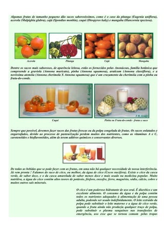 Algumas frutas de tamanho pequeno dão sucos saborosíssimos, como é o caso da pitanga (Eugenia uniflora),
acerola (Malpighia glabra), cajá (Spondias monbin), caqui (Diospyros kaky) e mangaba (Hancornia speciosa).




            Acerola                        Pitanga                        Cajá                          Mangaba

Dentre os sucos mais saborosos, de aparência leitosa, estão os fornecidos pelas Anonáceas, família botânica que
compreende a graviola (Annona muricato), pinha (Annona squamosa), araticum (Annona classiflora), e a
novíssima atemóia (Annona cherimola X Annona squamosa) que é um cruzamento da cherimóia com a pinha ou
fruta-do-conde.




                                Caqui                                     Pinha ou Fruta-do-conde - frutas e suco



Sempre que possível, devemos fazer sucos das frutas frescas ou da polpa congelada de frutas. Os sucos enlatados e
engarrafados, devido ao processo de pasteurização perdem muitos dos nutrientes, como as vitaminas A e C,
carotenóides e bioflavonóides, além de terem aditivos químicos e conservantes diversos.




De todas as bebidas que se pode fazer com as frutas, em uma não há qualquer necessidade de nossa interferência.
Já vem pronta ! Falamos do suco de côco, ou melhor, da água de côco (Cocos nucifera). Existe o côco da casca
verde, de sabor doce, e o da casca amarelada de sabor menos doce e mais usado na medicina popular. Muito
nutritiva, a água do côco contém altos teores de potássio, fósforo, enxofre, ferro, magnésio, sódio, cálcio, cobre e
muitos outros sais minerais.

                                                     O côco é um poderoso hidratante de uso oral. É diurético e um
                                                     excelente alimento. O consumo da água e da polpa contém
                                                     todos os nutrientes adequados à alimentação de uma pessoa
                                                     adulta, podendo ser usado indefinidamente. O leite extraído da
                                                     polpa pode substituir o leite materno e a água de côco verde,
                                                     quando a fruta ainda não produziu qualquer traço de polpa,
                                                     pode substituir o plasma sanguíneo nas transfusões de
                                                     emergência, uso esse que se tornou comum pelas tropas
 