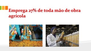 Emprega 27% de toda mão de obra
agrícola
 