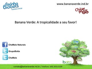 www.bananaverde.ind.br




     Banana Verde: A tropicalidade a seu favor!




ChaMais Naturais


GrupoBotta


ChaMais



    contato@bananaverde.ind.br / Telefone: (49) 3433.0100
 