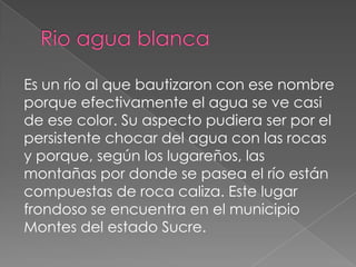 Es un río al que bautizaron con ese nombre
porque efectivamente el agua se ve casi
de ese color. Su aspecto pudiera ser por el
persistente chocar del agua con las rocas
y porque, según los lugareños, las
montañas por donde se pasea el río están
compuestas de roca caliza. Este lugar
frondoso se encuentra en el municipio
Montes del estado Sucre.
 