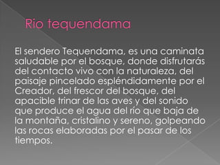 El sendero Tequendama, es una caminata
saludable por el bosque, donde disfrutarás
del contacto vivo con la naturaleza, del
paisaje pincelado espléndidamente por el
Creador, del frescor del bosque, del
apacible trinar de las aves y del sonido
que produce el agua del río que baja de
la montaña, cristalino y sereno, golpeando
las rocas elaboradas por el pasar de los
tiempos.
 