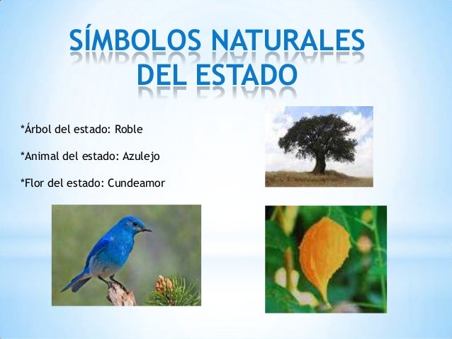 Imagenes De Los Simbolos Naturales Del Estado Sucre | sucre noriega angel 3ro a Imagenes De Los Simbolos Naturales Del Estado Sucre | sucre noriega angel 3ro a