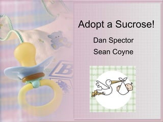 Adopt a Sucrose! Dan Spector Sean Coyne 