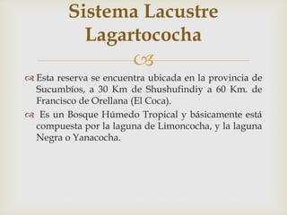 
 Esta reserva se encuentra ubicada en la provincia de
Sucumbíos, a 30 Km de Shushufindiy a 60 Km. de
Francisco de Orellana (El Coca).
 Es un Bosque Húmedo Tropical y básicamente está
compuesta por la laguna de Limoncocha, y la laguna
Negra o Yanacocha.
Sistema Lacustre
Lagartococha
 