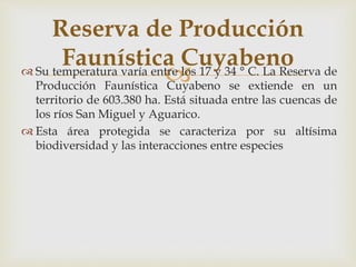  Su temperatura varía entre los 17 y 34 ° C. La Reserva de
Producción Faunística Cuyabeno se extiende en un
territorio de 603.380 ha. Está situada entre las cuencas de
los ríos San Miguel y Aguarico.
 Esta área protegida se caracteriza por su altísima
biodiversidad y las interacciones entre especies
Reserva de Producción
Faunística Cuyabeno
 