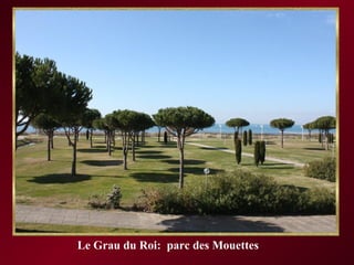 Le Grau du Roi:  parc des Mouettes 