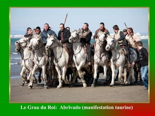 Le Grau du Roi:  Abrivado (manifestation taurine) 