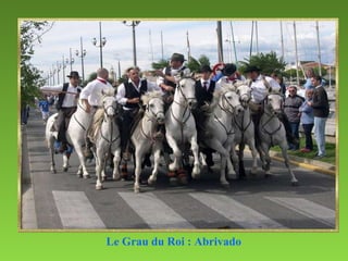 Le Grau du Roi : Abrivado   
