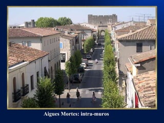 Aigues Mortes: intra-muros 
