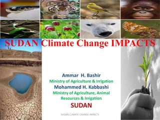 SUDAN Climate Change IMPACTS
Ammar H. Bashir
Ministry of Agriculture & Irrigation
Mohammed H. Kabbashi
Ministry of Agriculture, Animal
Resources & Irrigation
SUDAN
3/26/2015 1SUDAN CLIMATE CHANGE IMPACTS
 