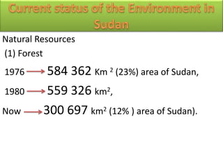 Natural Resources
(1) Forest
1976 584 362 Km 2 (23%) area of Sudan,
1980 559 326 km2,
Now 300 697 km2 (12% ) area of Sudan).
 