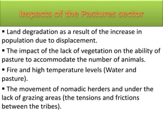  Land degradation as a result of the increase in
population due to displacement.
 The impact of the lack of vegetation on the ability of
pasture to accommodate the number of animals.
 Fire and high temperature levels (Water and
pasture).
 The movement of nomadic herders and under the
lack of grazing areas (the tensions and frictions
between the tribes).
 