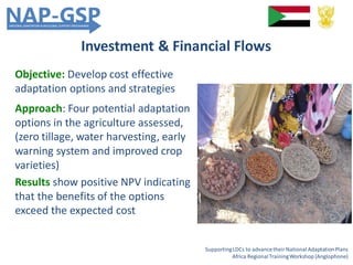 SupportingLDCs to advancetheir National AdaptationPlans
Africa RegionalTrainingWorkshop (Anglophone)
Objective: Develop cost effective
adaptation options and strategies
Approach: Four potential adaptation
options in the agriculture assessed,
(zero tillage, water harvesting, early
warning system and improved crop
varieties)
Results show positive NPV indicating
that the benefits of the options
exceed the expected cost
Investment & Financial Flows
 