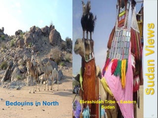 2/12/2015 SUDAN REPORT PRESENTATION 27
Bedouins in North El-rashidah Tribe – Eastern
Sudan
 