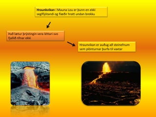 Hraunkvikan í Mauna Lou er þunn en ekki
                     seglfljótandi og flæðir hratt undan brekku




Það lætur þrýstingin vera léttari svo
fjallið rifnar ekki
                                                   Hraunvikan er auðug að steinefnum
                                                   sem plönturnar þurfa til vaxtar
 
