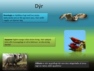 Dýr
Brandugla er hljóðlaus fugl með tvo stutta
fjaðurskúfa sem er líkt og mann eyru. Hún veiðir
nagdýr um bjartan dag




 Apapane fuglinn syngur allan ársins hring. Þeir sækjast
 helst eftir hunangslegi úr ohi‘a blómum en éta einnig
 skordýr




                                     Villisvín er stór og gráðugt dýr sem étur skógarfæðu af ýmsu
                                     tagi t.d. rætur, aldin og plöntur
 
