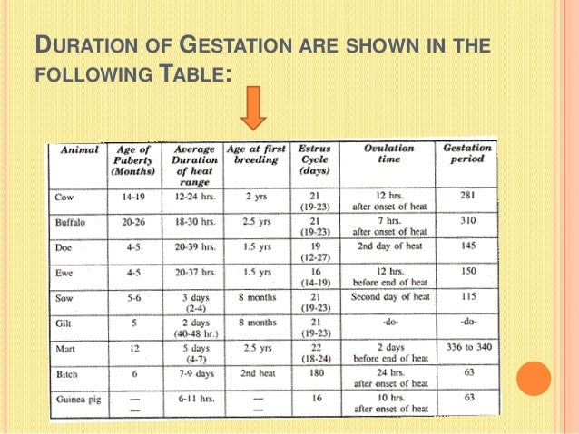 hormonal regulation of ovulation pregnancy parturition animal gestation periods chart