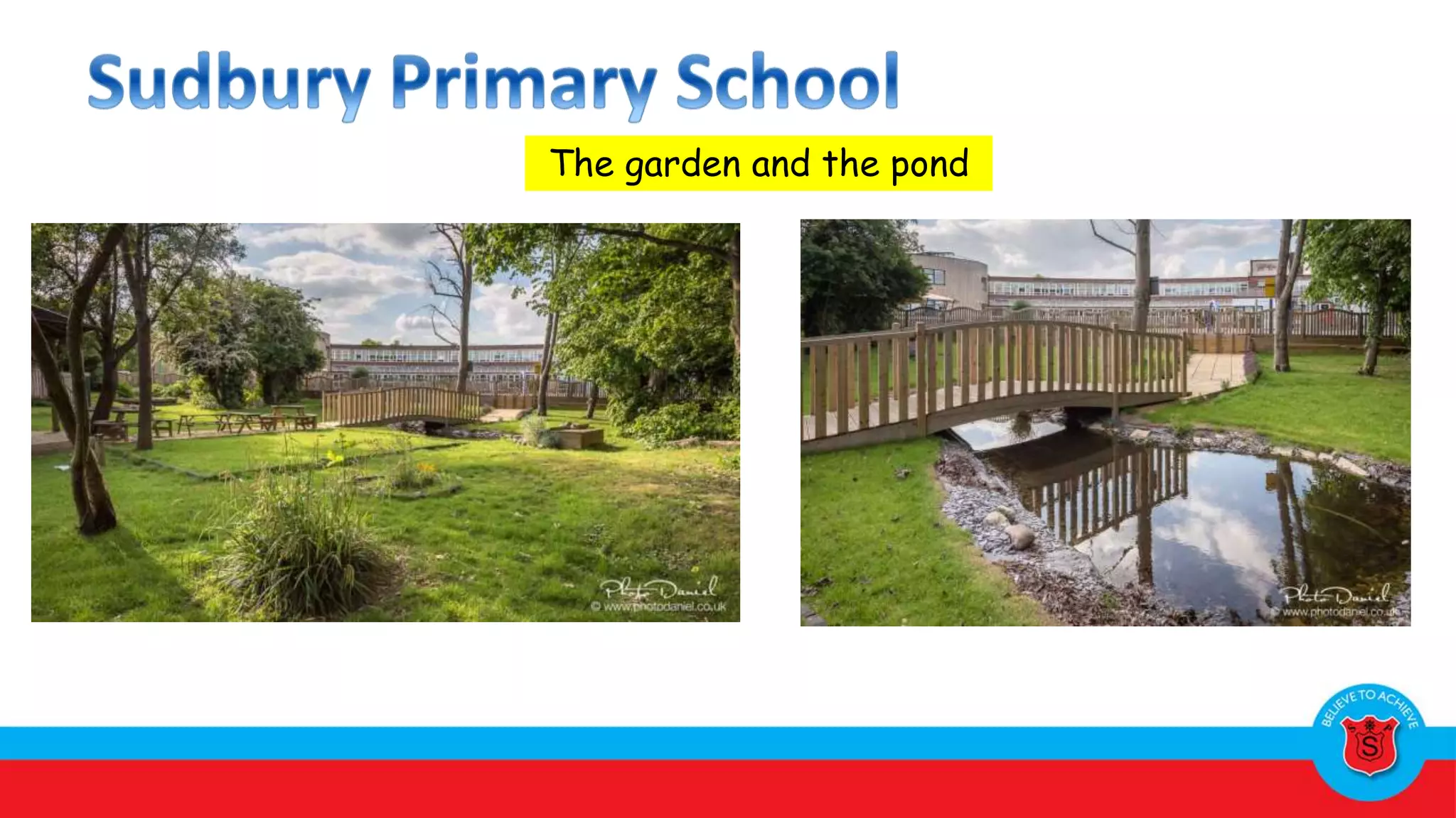 The garden and the pond
 