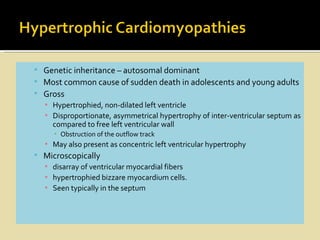  Genetic inheritance – autosomal dominant
 Most common cause of sudden death in adolescents and young adults
 Gross
  ▪ Hypertrophied, non-dilated left ventricle
  ▪ Disproportionate, asymmetrical hypertrophy of inter-ventricular septum as
    compared to free left ventricular wall
     ▪ Obstruction of the outflow track
   ▪ May also present as concentric left ventricular hypertrophy
 Microscopically
  ▪ disarray of ventricular myocardial fibers
  ▪ hypertrophied bizzare myocardium cells.
  ▪ Seen typically in the septum
 