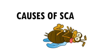 CAUSES OF SCA
 