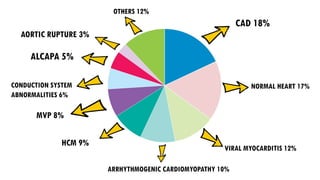 CAD 18%
NORMAL HEART 17%
VIRAL MYOCARDITIS 12%
ARRHYTHMOGENIC CARDIOMYOPATHY 10%
HCM 9%
MVP 8%
CONDUCTION SYSTEM
ABNORMALITIES 6%
ALCAPA 5%
AORTIC RUPTURE 3%
OTHERS 12%
 