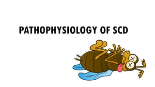 PATHOPHYSIOLOGY OF SCD
 