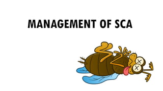 MANAGEMENT OF SCA
 