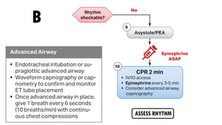 ASSESS RHYTHM
B
 