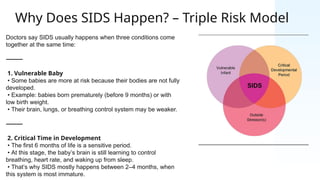 Sids Risks By Week Sudden Infant Death Syndrome_.pptx (1) (1).pptx