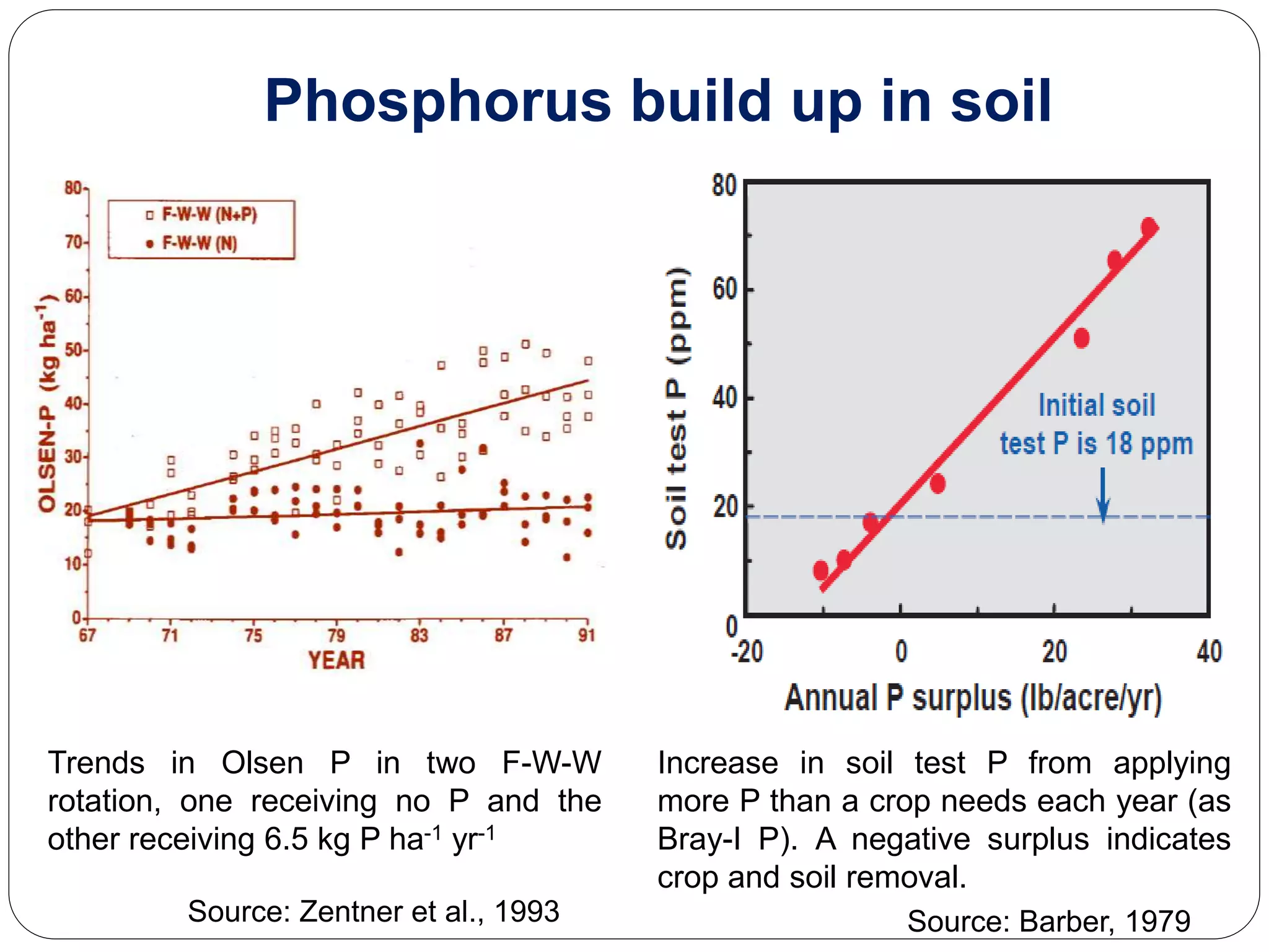Trends in Olsen P in two F-W-W
rotation, one receiving no P and the
other receiving 6.5 kg P ha-1 yr-1
Increase in soil test P from applying
more P than a crop needs each year (as
Bray-I P). A negative surplus indicates
crop and soil removal.
Phosphorus build up in soil
Source: Zentner et al., 1993 Source: Barber, 1979
 