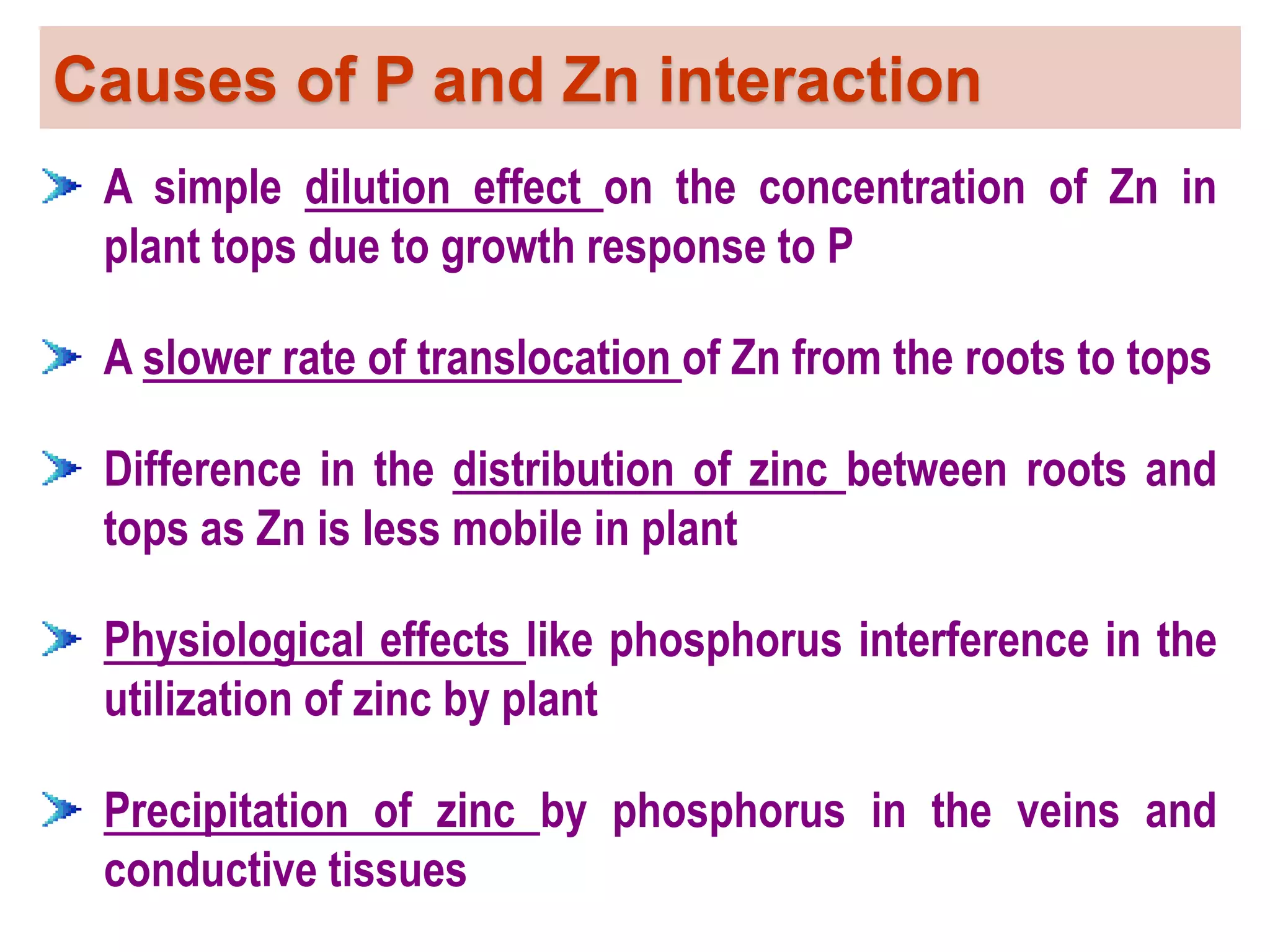 Causes of P and Zn interaction
A simple dilution effect on the concentration of Zn in
plant tops due to growth response to P
A slower rate of translocation of Zn from the roots to tops
Difference in the distribution of zinc between roots and
tops as Zn is less mobile in plant
Physiological effects like phosphorus interference in the
utilization of zinc by plant
Precipitation of zinc by phosphorus in the veins and
conductive tissues
 