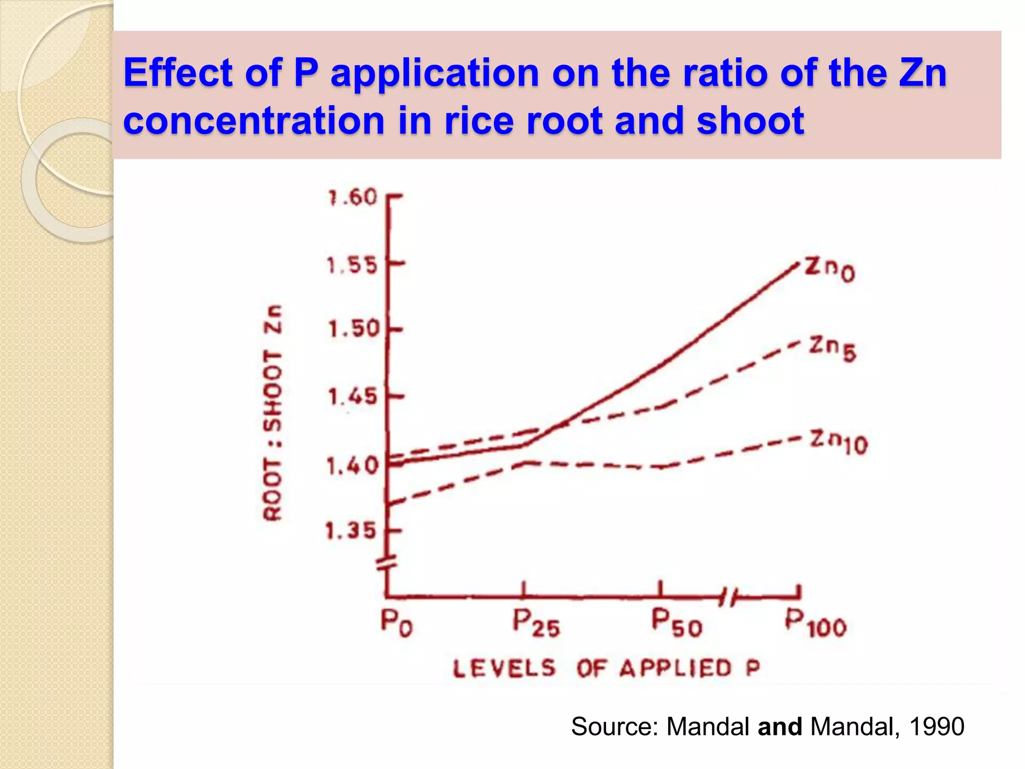 Effect of P application on the ratio of the Zn
concentration in rice root and shoot
Source: Mandal and Mandal, 1990
 