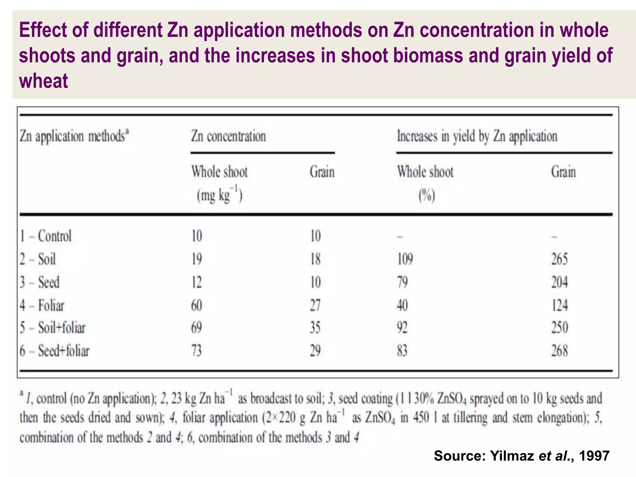 Effect of different Zn application methods on Zn concentration in whole
shoots and grain, and the increases in shoot biomass and grain yield of
wheat
Source: Yilmaz et al., 1997
 