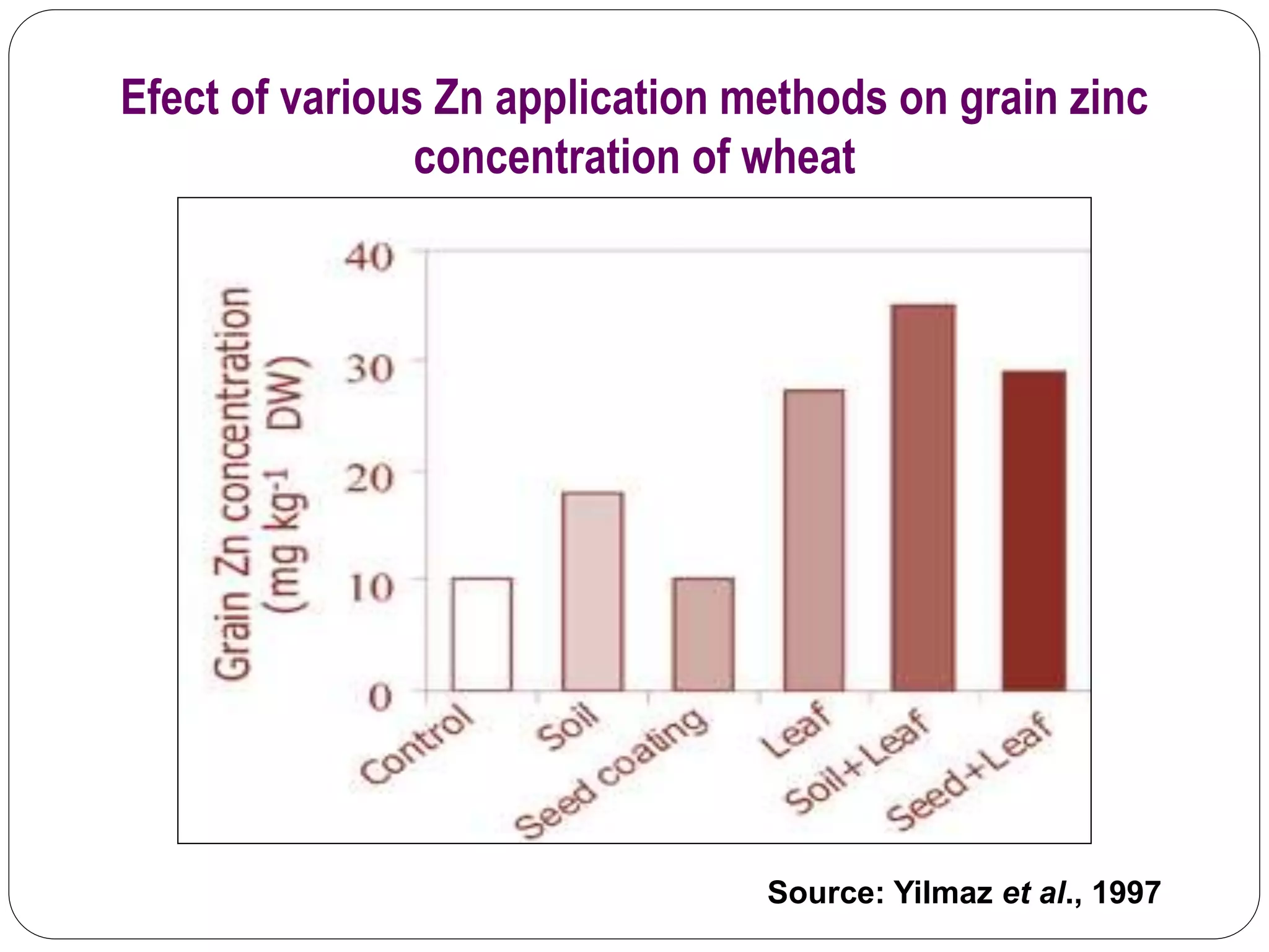Efect of various Zn application methods on grain zinc
concentration of wheat
Source: Yilmaz et al., 1997
 