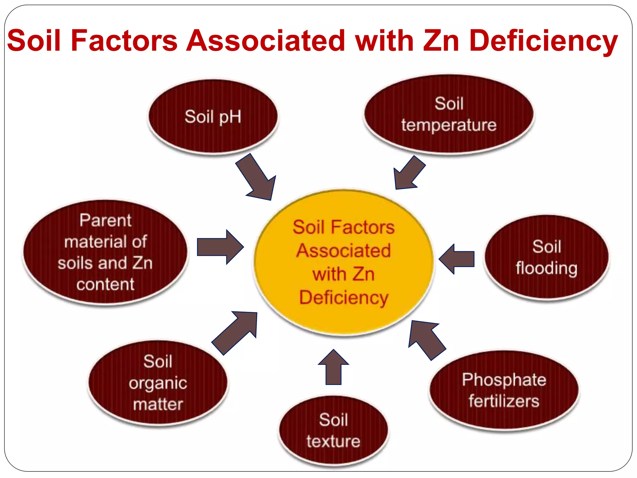Soil Factors Associated with Zn Deficiency
 